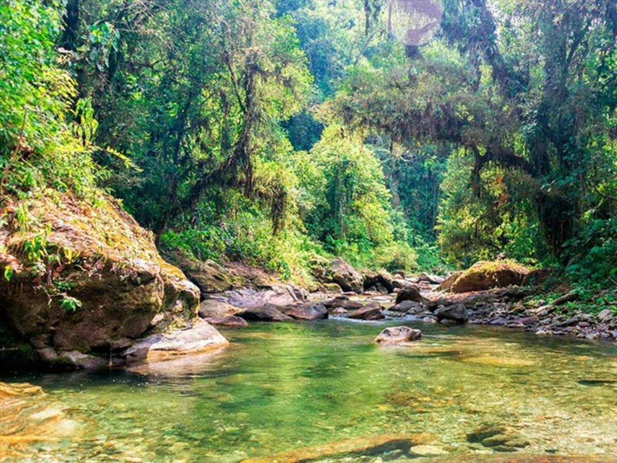 Bavaria conmemora el Día Mundial de la Protección por la Naturaleza