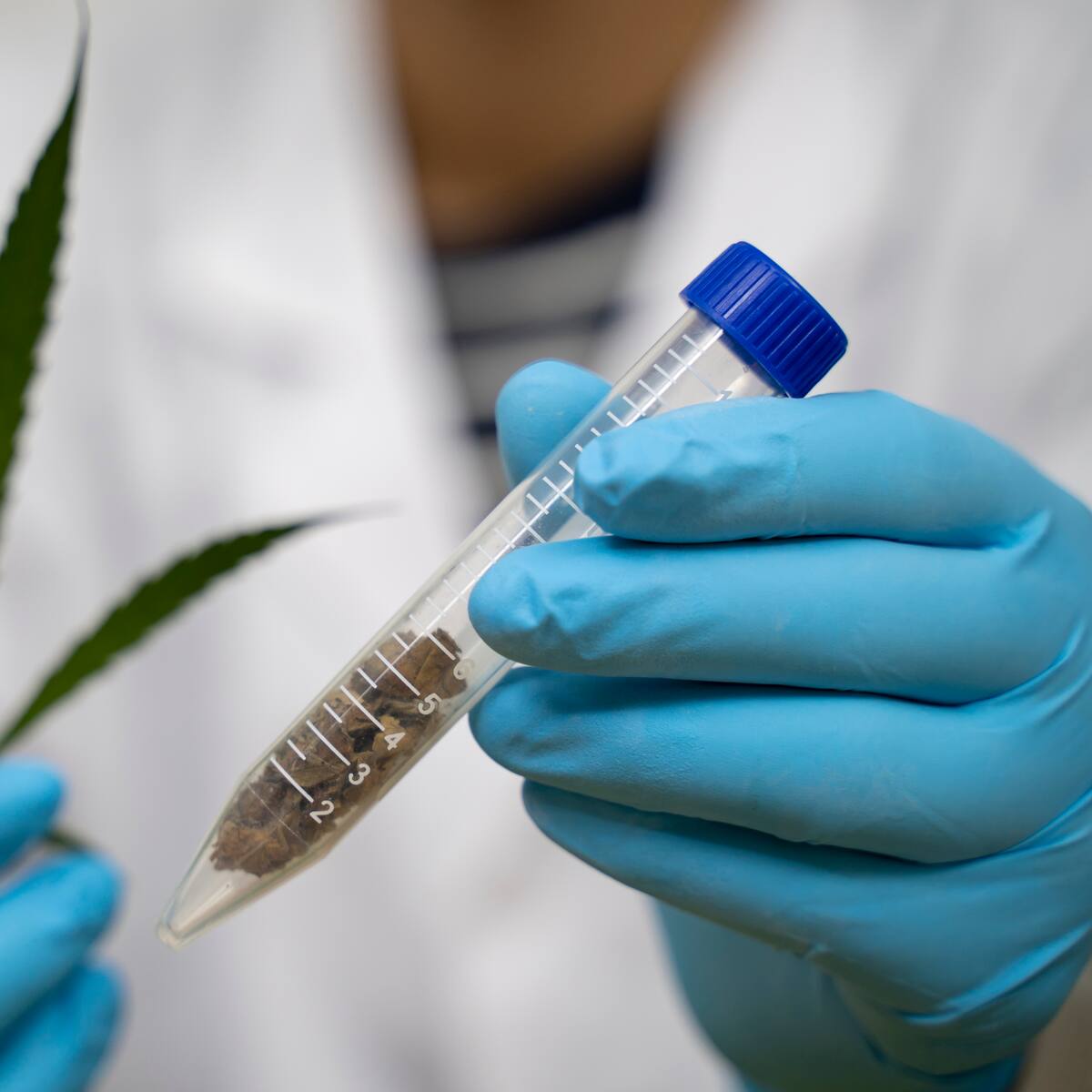 Debate en el Congreso plantea la legalización de las drogas en Colombia