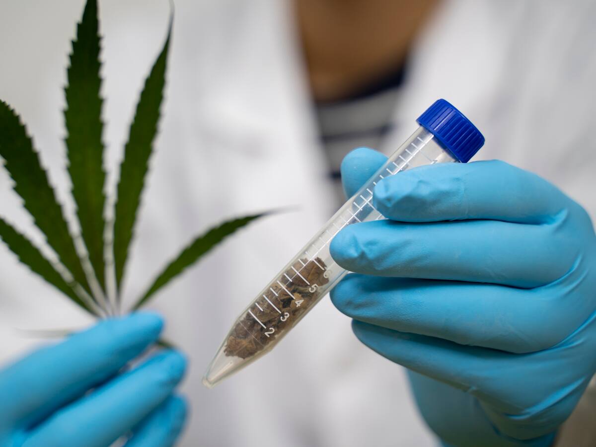 Debate en el Congreso plantea la legalización de las drogas en Colombia