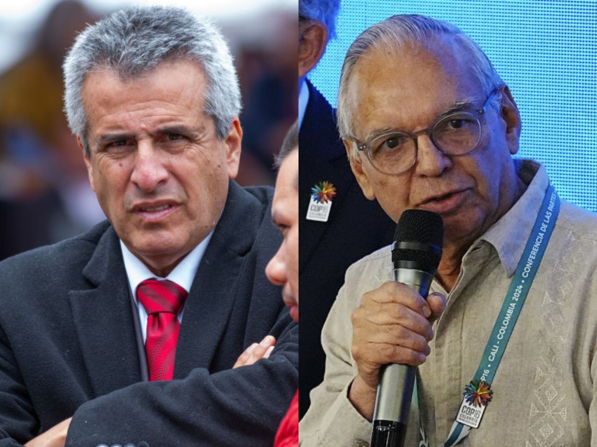 ¿Qué opina de la detención de los exministros Ricardo Bonilla y Luis Fernando Velasco?