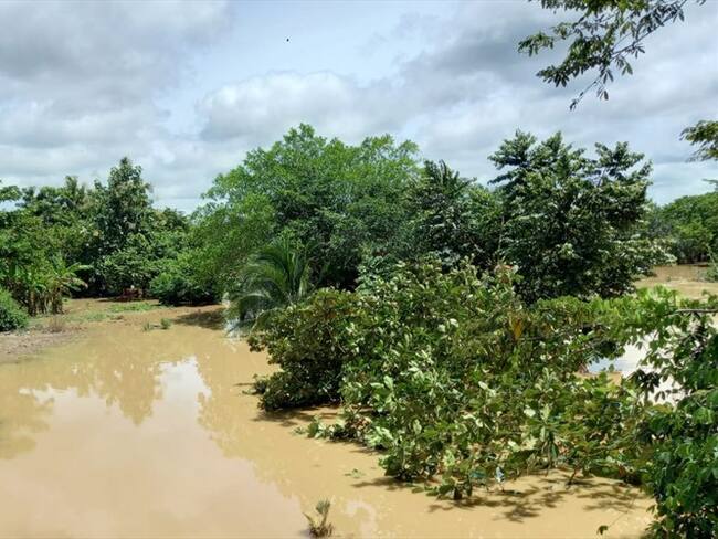 Emergencia en el sur de Córdoba: cerca de 200 familias estarían damnificadas. Foto: cortesía.