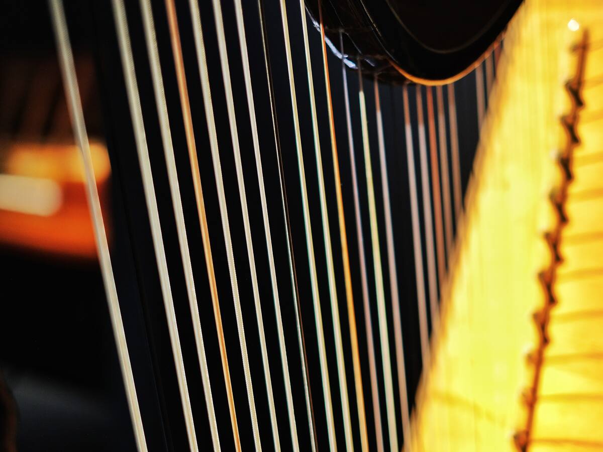 “Es hermoso ayudar a mujeres en este planeta”: Magdalena Hoffmann, arpista y embajadora cultural en Colombia