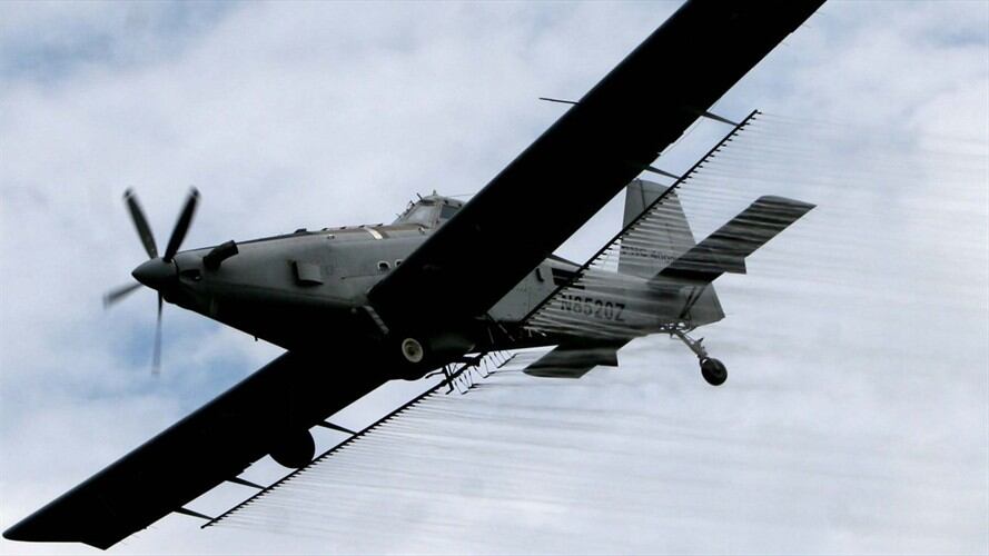 Gobierno rechazó carta de ONU en rechazo al uso del glifosato. Foto: Colprensa - Raúl Arboleda