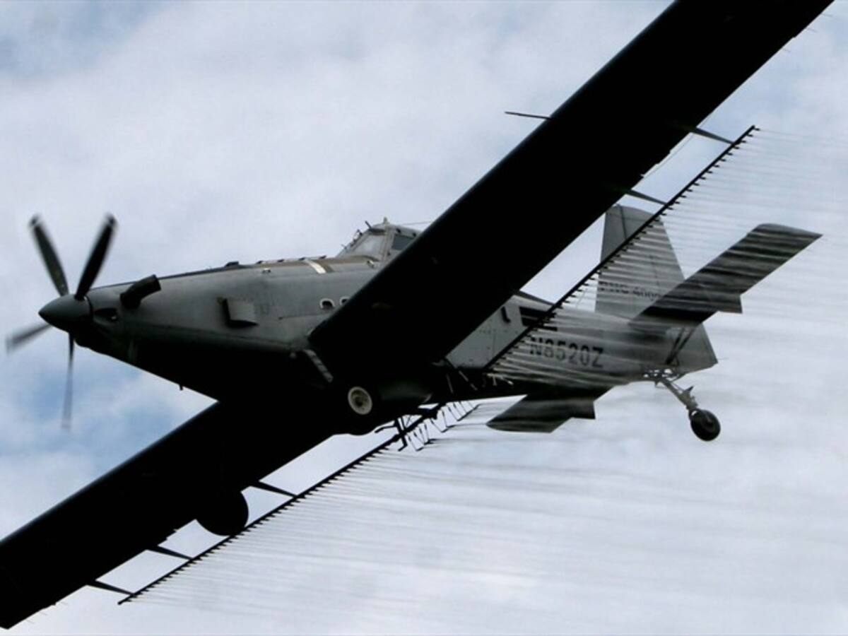 Gobierno rechazó carta donde relatores de ONU piden no retomar aspersiones con glifosato