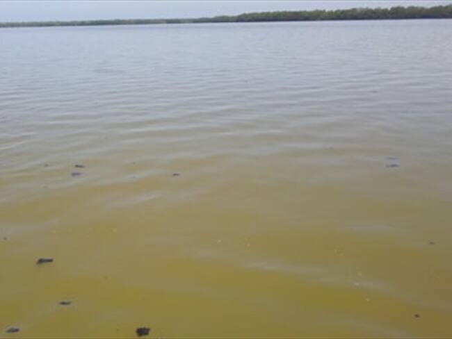 Ciénaga de Santa Marta . Foto: Colprensa