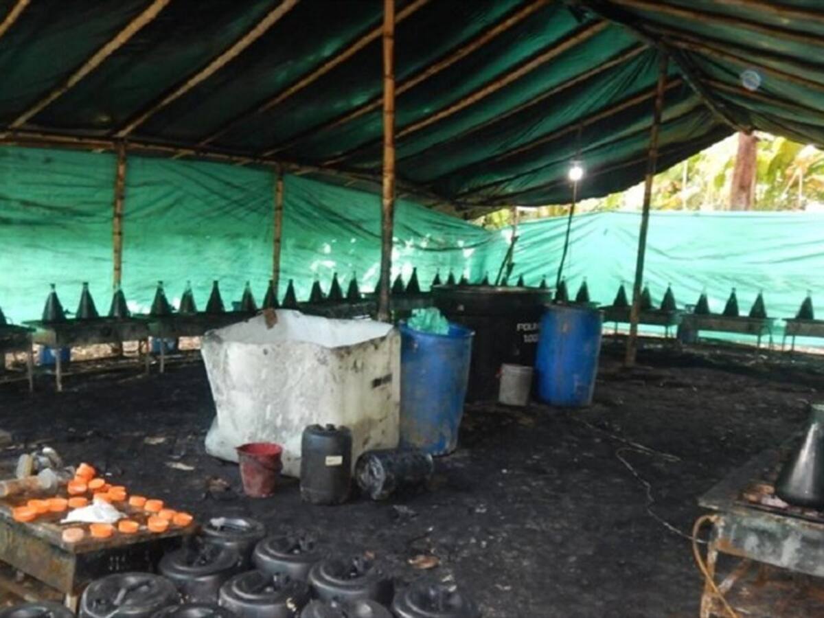 Seis laboratorios fueron desmantelados en la zona del Catataumbo