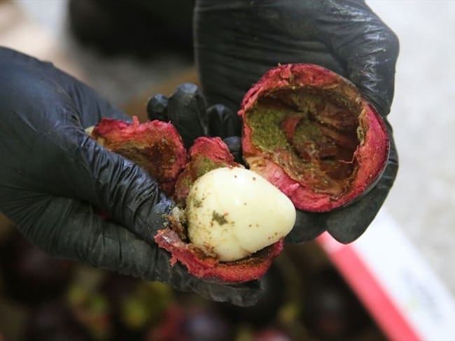 Descubren 33 kilos de cocaína en cargamento de mangostinos. Foto: Policía Nacional