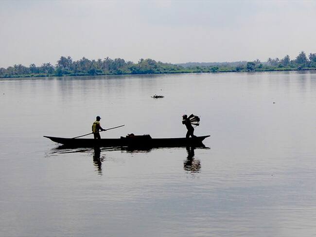 Reportes muestran que Navelena se encuentra en una situación crítica, teniendo en cuenta que presenta obligaciones vencidas a más de 90 días que superan el 10% del pasivo social. Foto: Colprensa