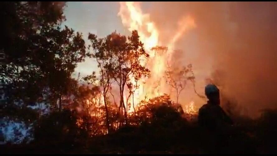 Hacía las seis de la mañana de este 22 de julio arrancaron labores de control y extinción.. Foto: Bomberos de Tunja