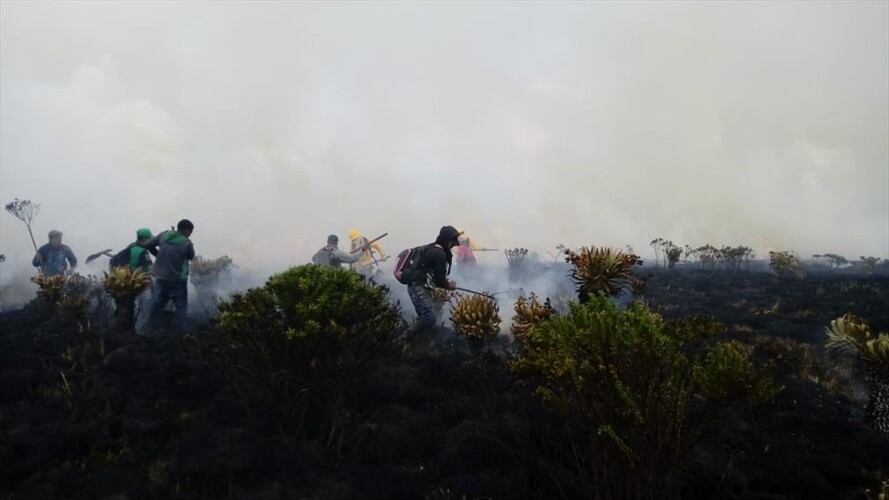 Controlado incendio en el Parque Nacional Natural Puracé, Cauca. Foto: Bomberos de Popayán