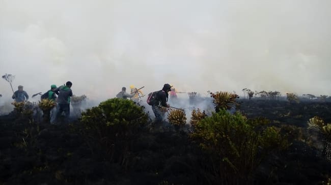 Controlado incendio en el Parque Nacional Natural Puracé, Cauca. Foto: Bomberos de Popayán