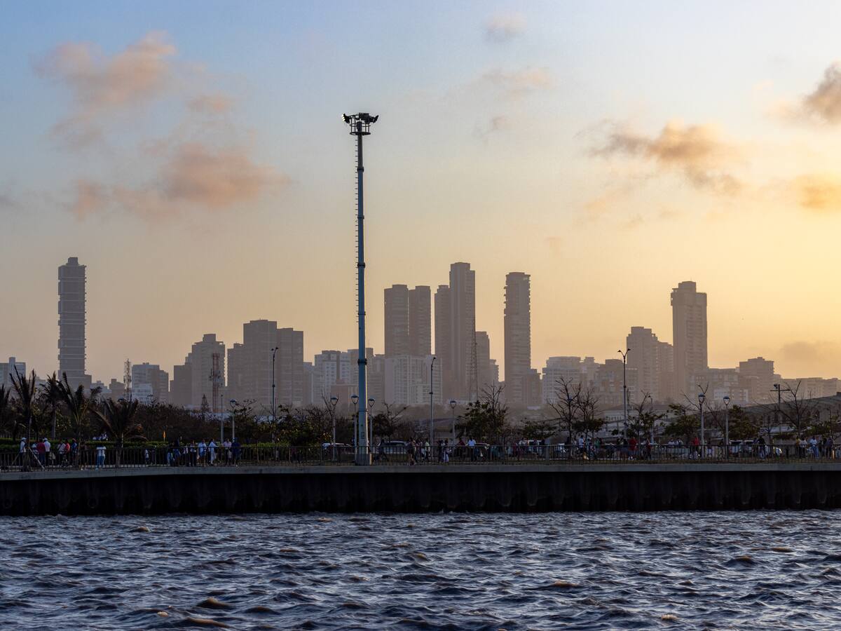 ¿Cuál es la importancia del desarrollo de la OCDE en Barranquilla?