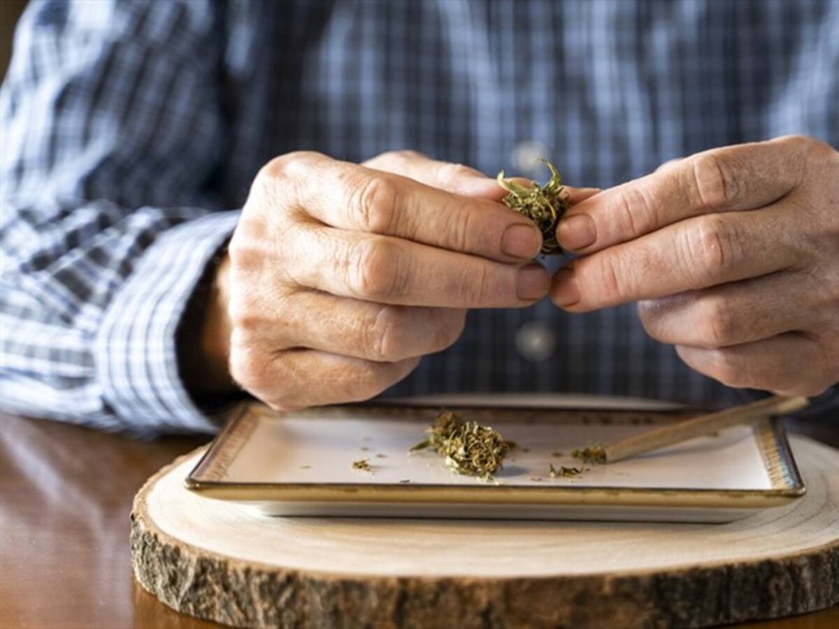 ¿Podría pasar en Colombia? Abogado explica cómo se legalizó la marihuana en Uruguay