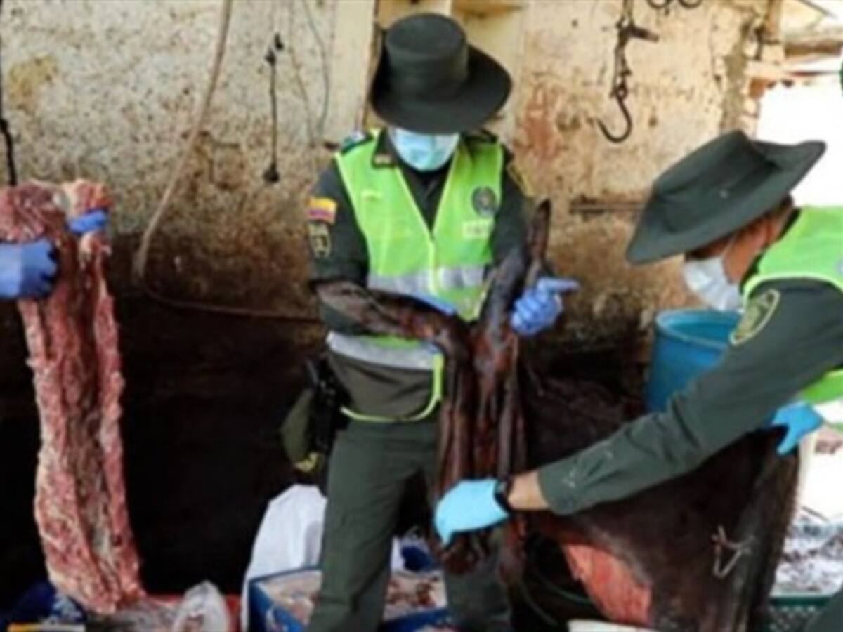 Descubren nueva comercialización de carne de burro y caballo de Bucaramanga