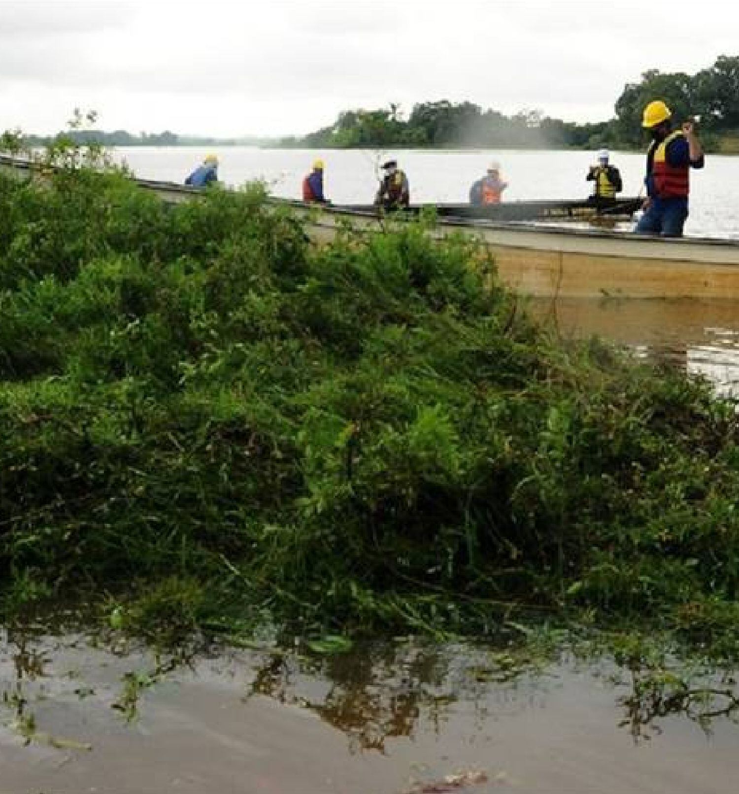Ciénaga San Silvestre. Foto: Cortesía Ecopetrol