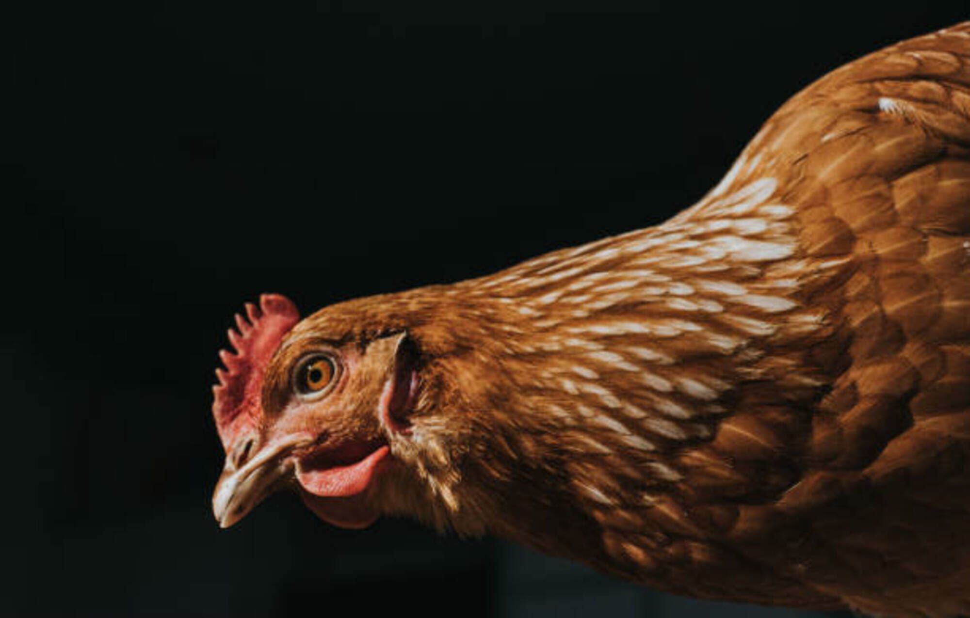 Imagen de referencia/ Getty Images