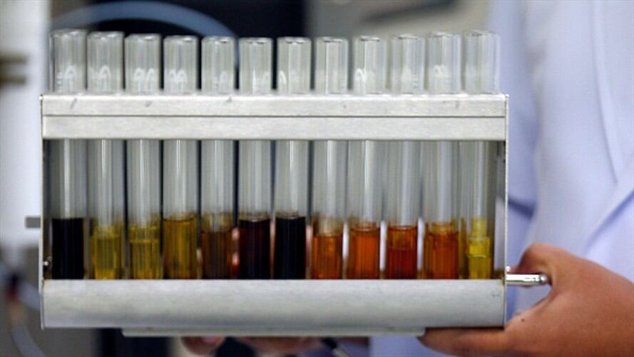 Las debilidades institucionales del negocio de cannabis medicinal, según Fedesarrollo. Foto: Getty Images