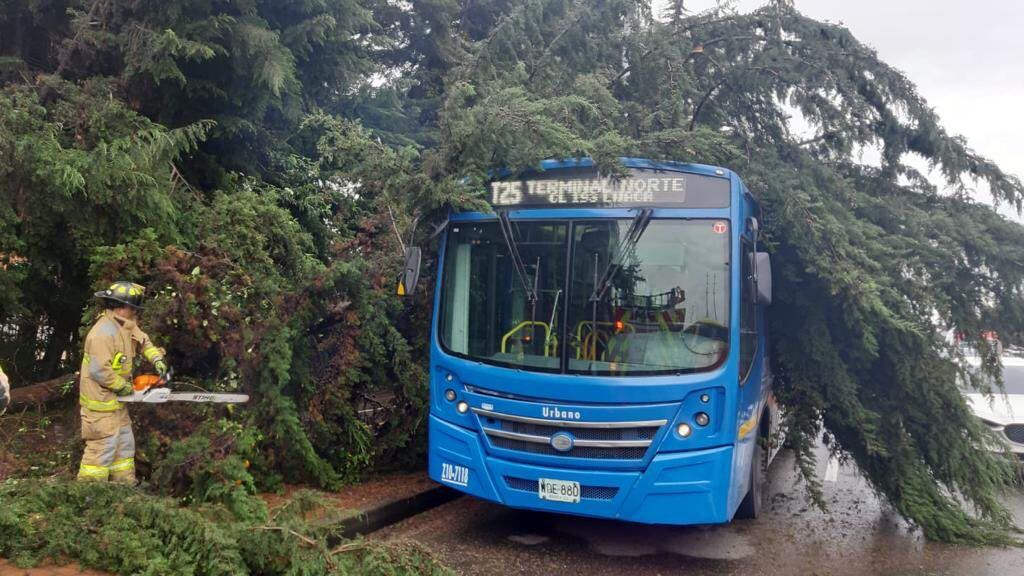Más de 30 árboles caídos y más emergencias en Bogotá por cuenta de las lluvias / FOTO: Crédito - bomberos bogota