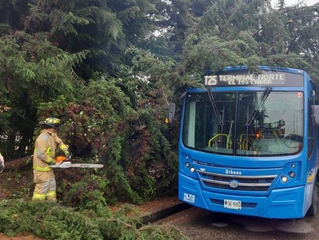 Más de 30 árboles caídos y más emergencias en Bogotá por cuenta de las lluvias / FOTO: Crédito - bomberos bogota