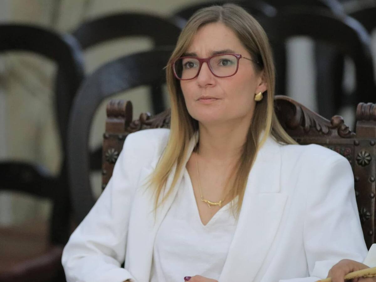 Exviceministra de Defensa afirmó que hay una reconfiguración de los grupos armados en el Cauca
