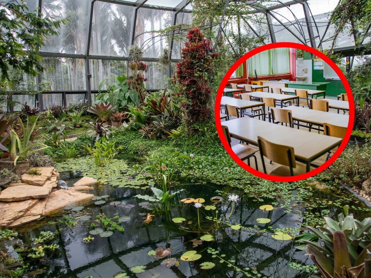 ¿Qué actividades puede realizar esta semana de receso en el Jardín Botánico de Bogotá?: fechas y más