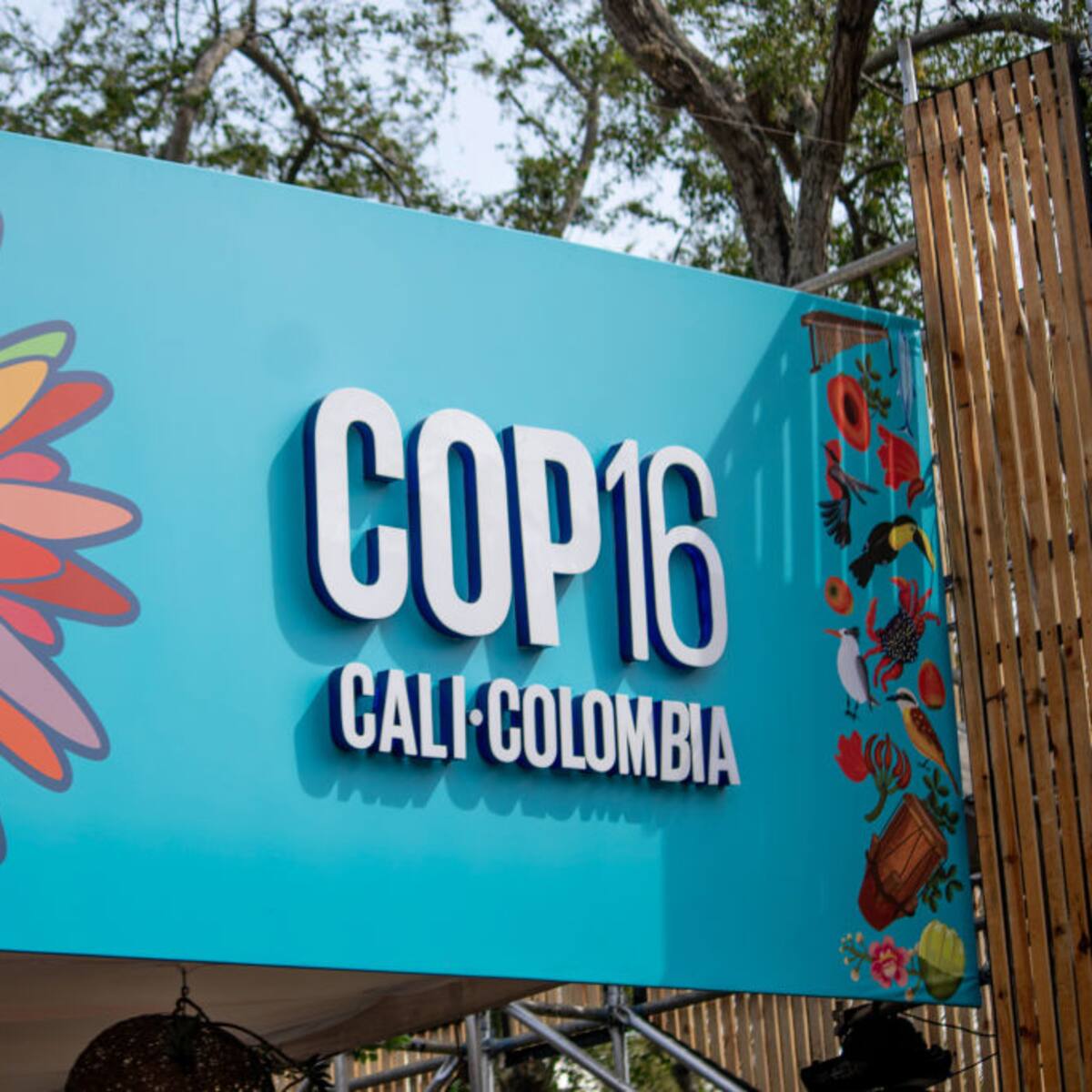 ¿Cuáles son las prioridades de la COP16 y qué beneficios traerán para Colombia?