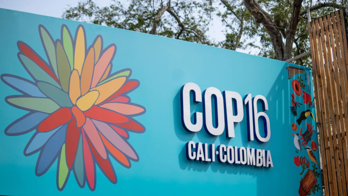 Cinco claves para entender la COP16 de Biodiversidad que se celebrará en Cali