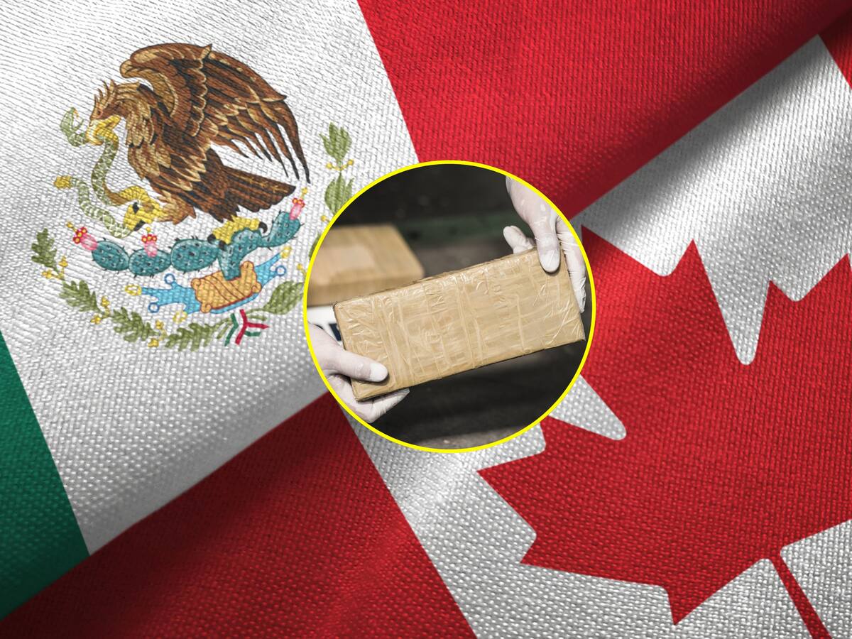 Canadá declaró terroristas a los carteles de droga mexicanos al igual que EE.UU.