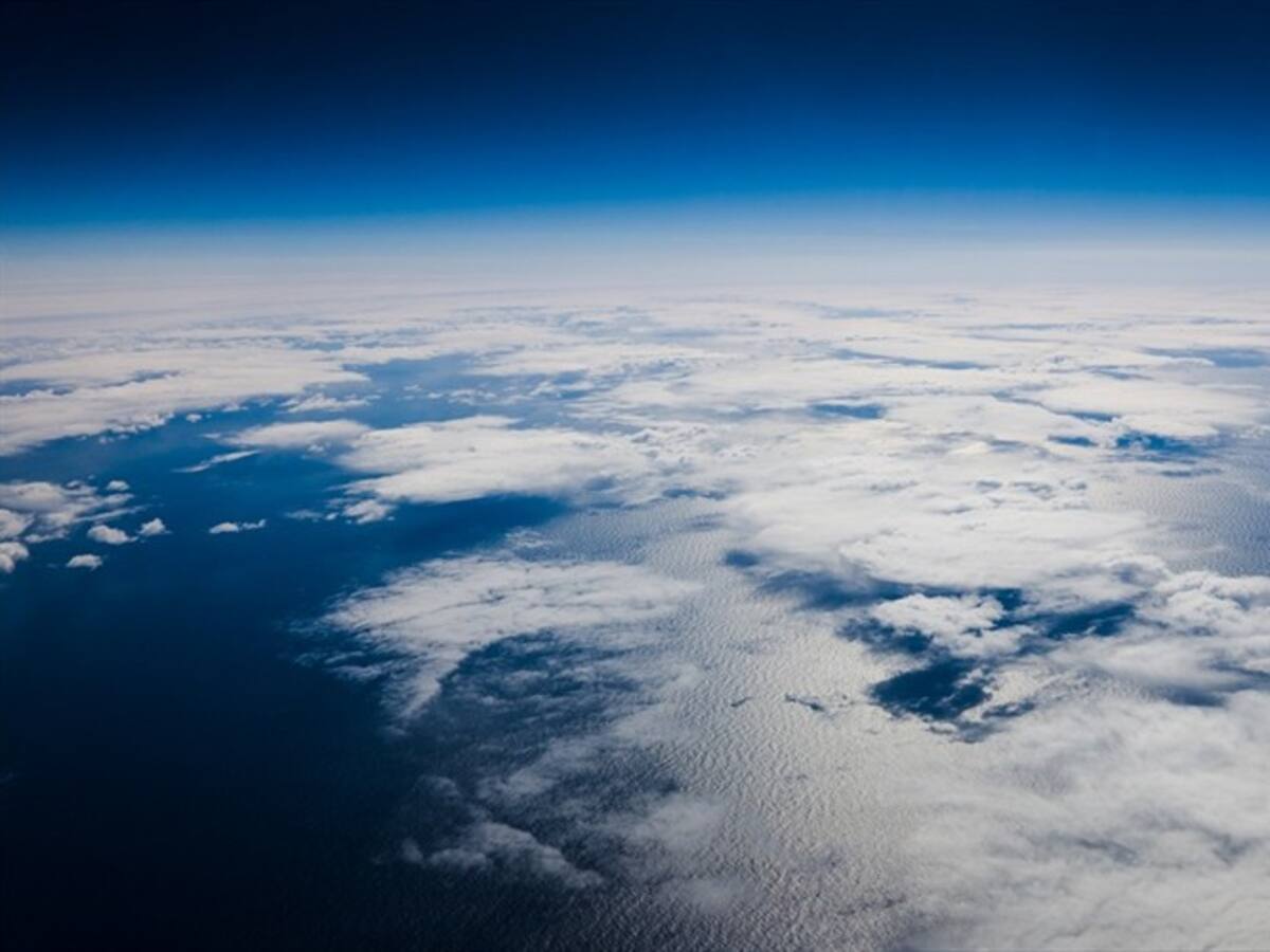 ¿Quiere dar un paseo gratis por el espacio? SpaceX busca a ocho voluntarios