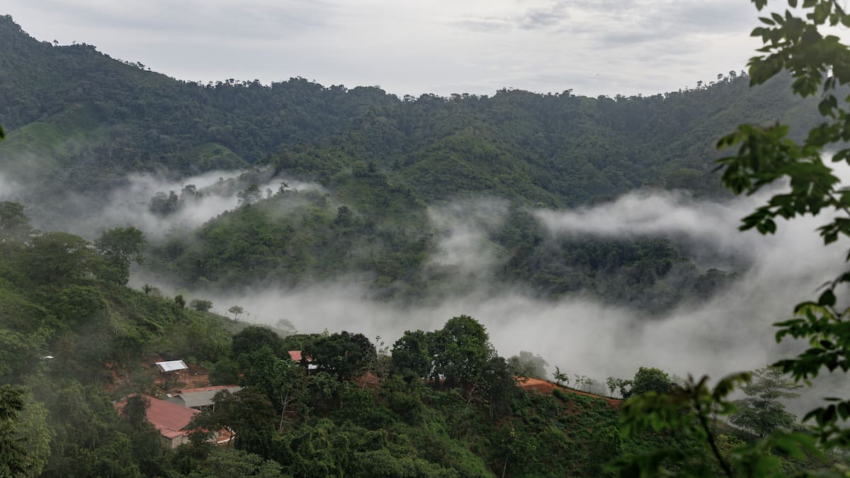 Colombia será sede de la Cumbre COP16, ¿en qué ciudad se hará y en qué consiste?