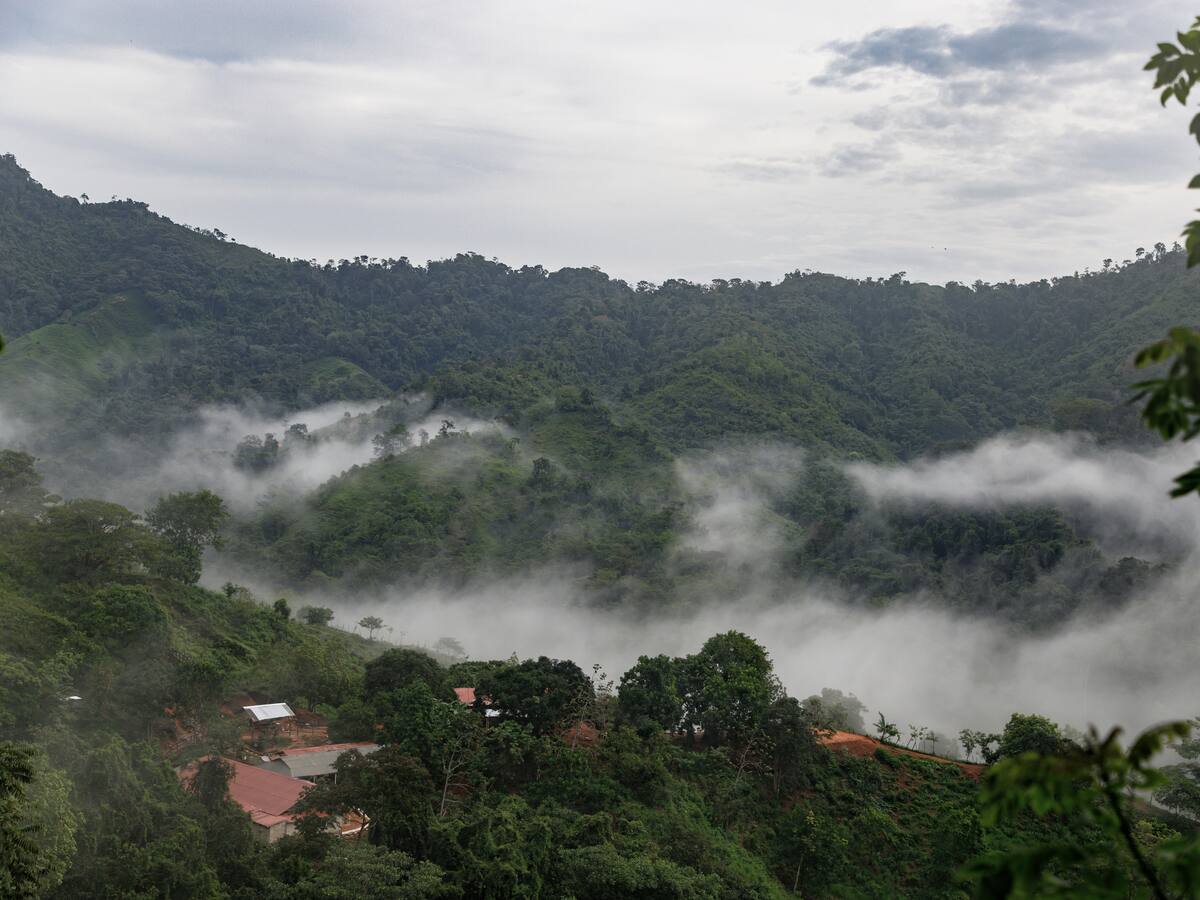 Colombia será sede de la COP16, ¿en qué ciudad se hará y en qué consiste?