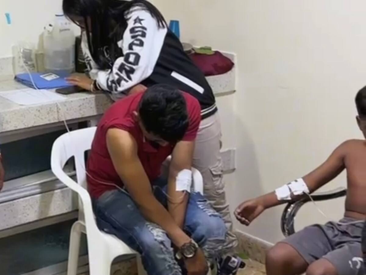 Ataque masivo de abejas deja a más de 80 personas afectadas en el norte del Cauca