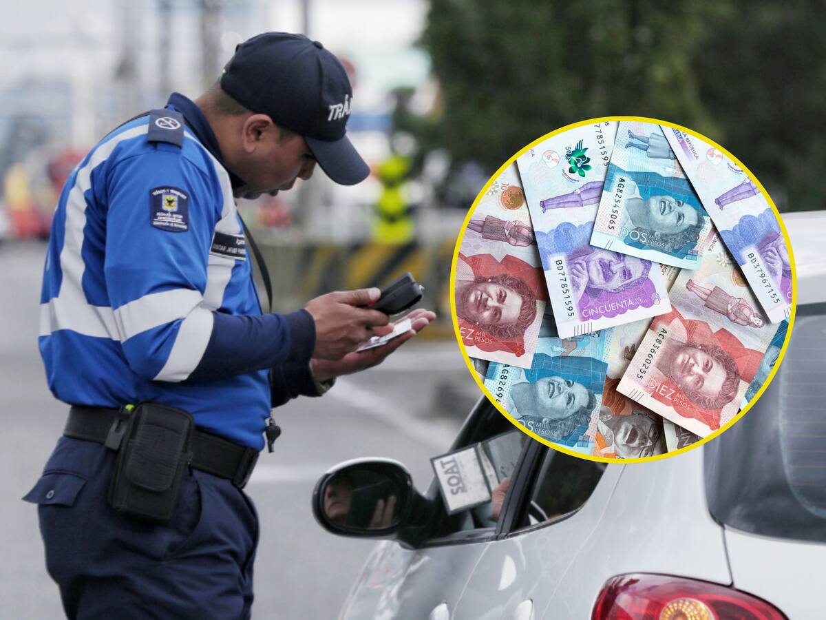 Descuentos por multas de tránsito: ¿Cuál es la fecha límite? Paso a paso y link oficial