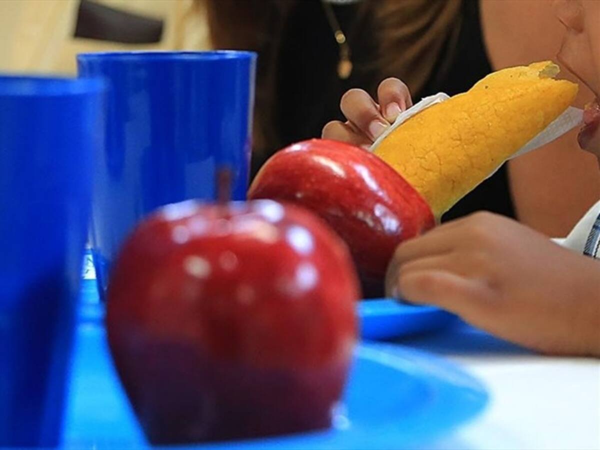 Cartagena, Soledad, Barranquilla y Guaviare también tienen problemas en sus PAE