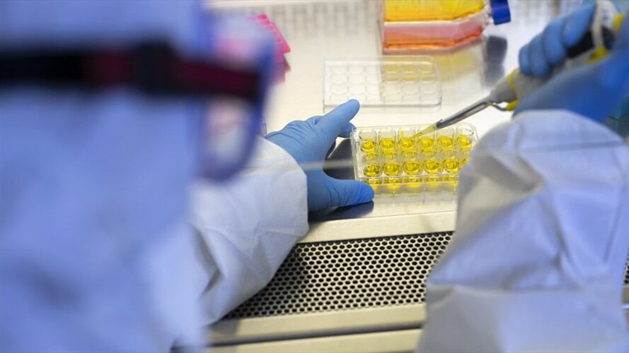 Li-Meng Yan aseguró que tiene pruebas para afirmar que el virus no nació en Wuhan como se ha mencionado.. Foto: Getty Images