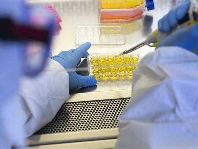 Li-Meng Yan aseguró que tiene pruebas para afirmar que el virus no nació en Wuhan como se ha mencionado.. Foto: Getty Images