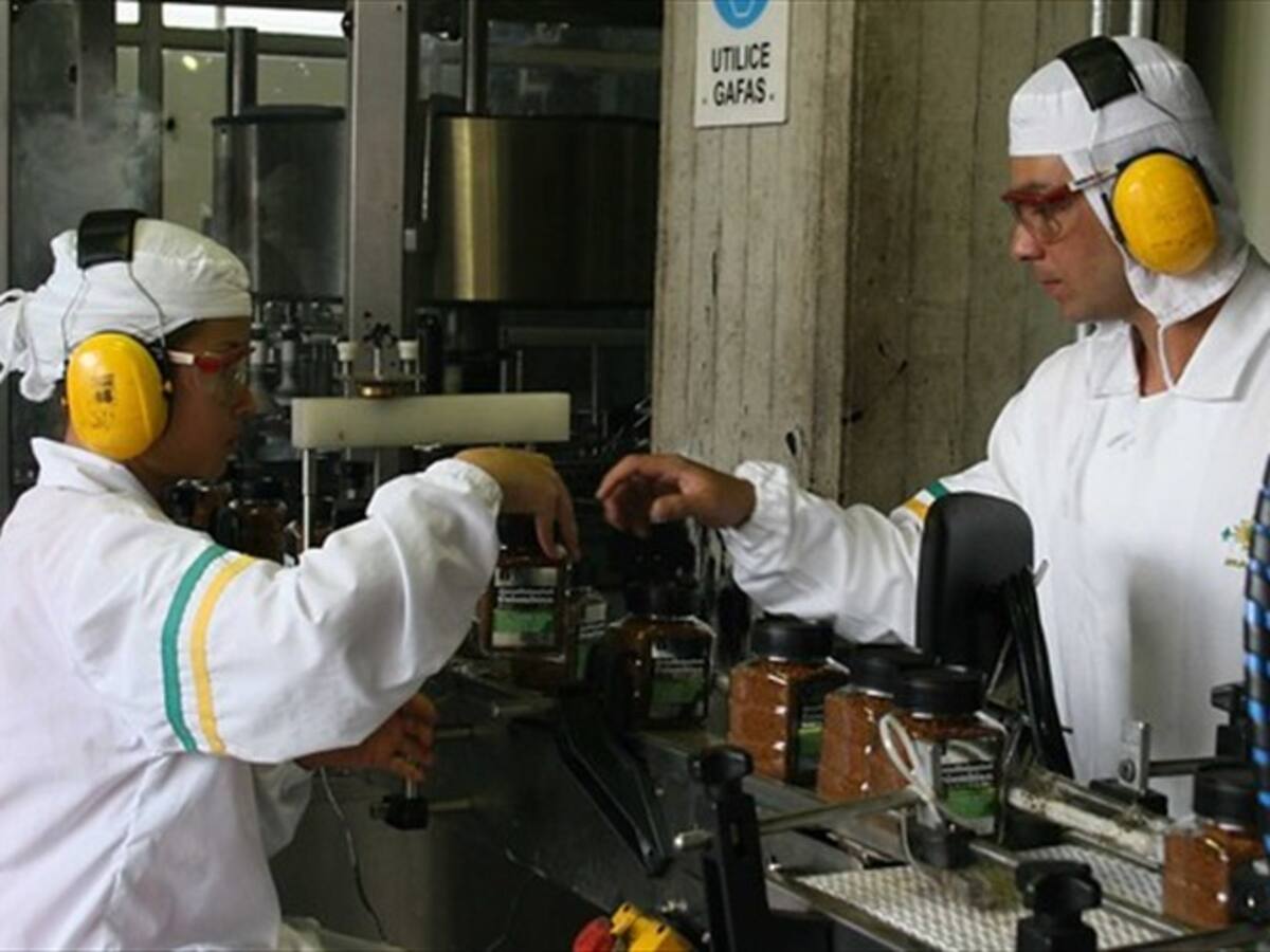 Cafeteros aprobaron importaciones del grano para maximizar rentabilidad de caficultores