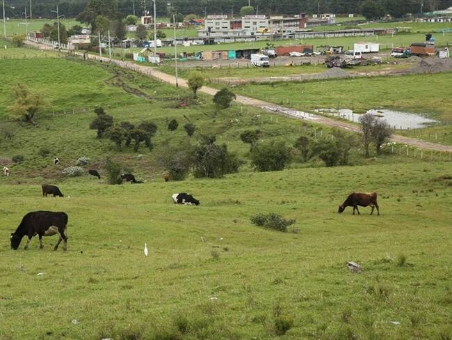 Ambientalistas y Distrito discuten propuesta de proyecto de la reserva Van der Hammen