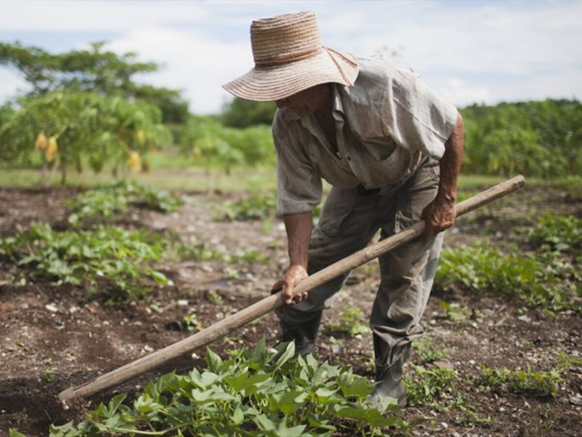 Minagricultura pidió a campesinos tener cuidado con estafadores
