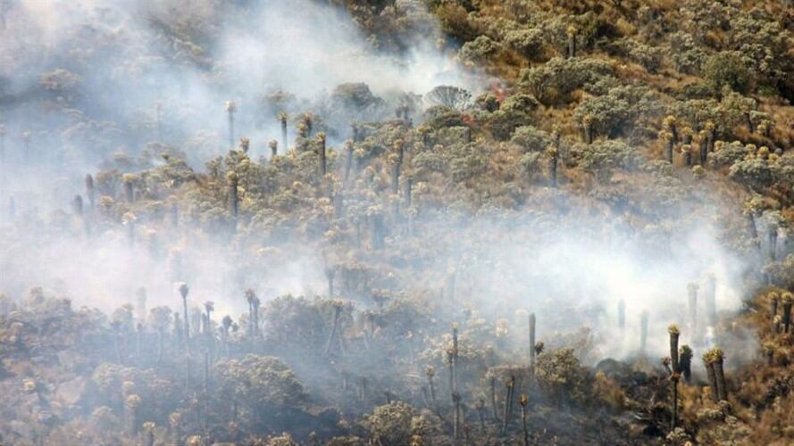 Incendio  páramo. Foto: Suministrada.