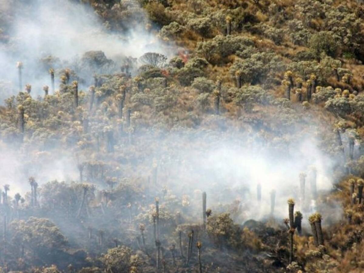 Más de 68 horas cumplió un incendio forestal en el páramo de Santurbán