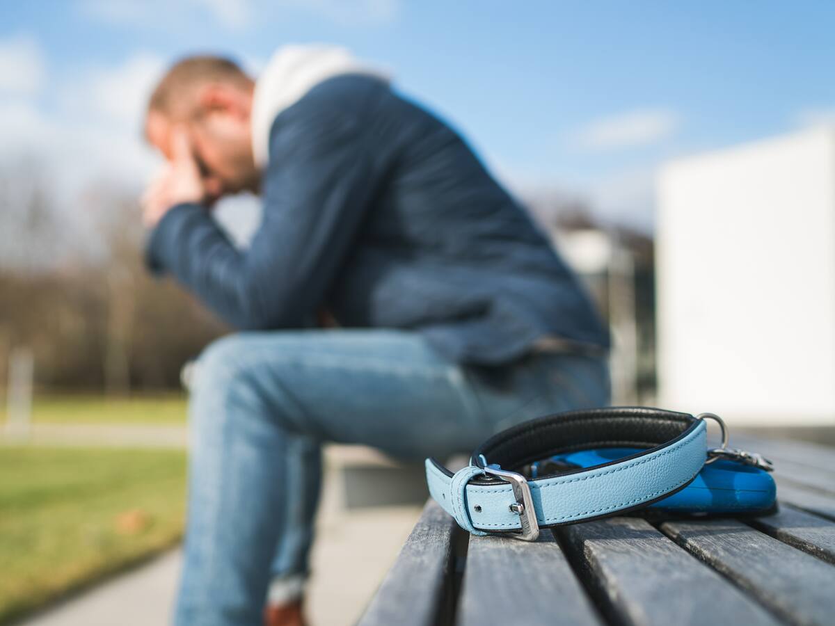 Impulsan ley en Chile para otorgar un día de duelo por la muerte de una mascota