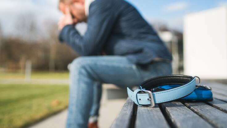 Impulsan ley en Chile para otorgar un día de duelo por la muerte de una mascota