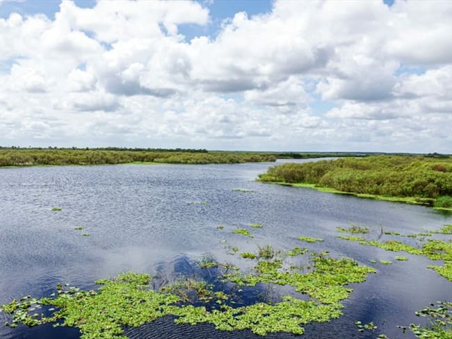 Rio St. Johns en Jacksonville, Florida. Foto: Getty Images