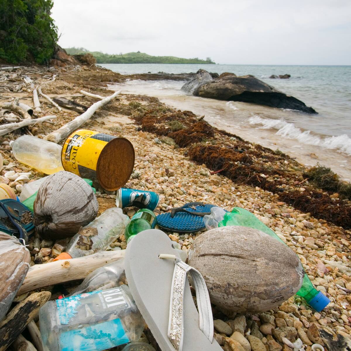 ¿Solución para limpiar océanos? Podrían eliminar 100 millones de kilos de plástico