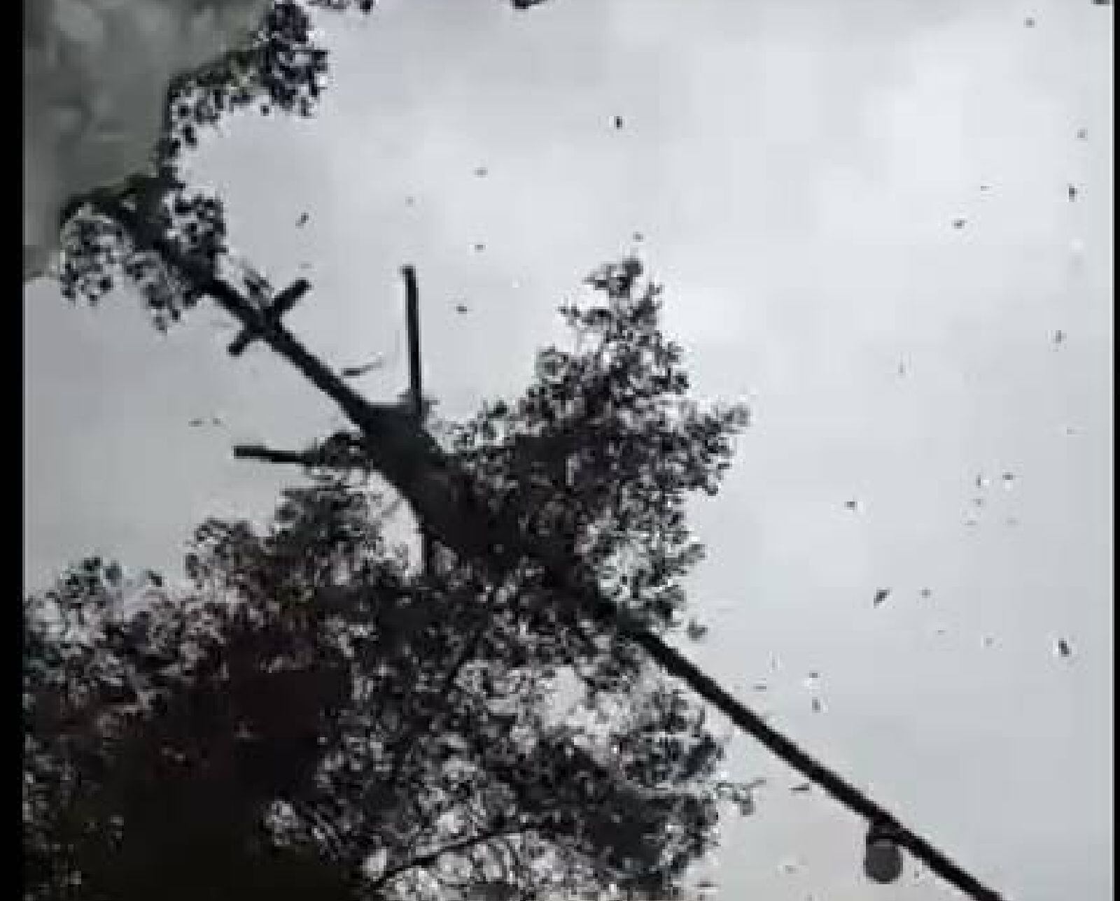 Helicópero /tomada del video. 