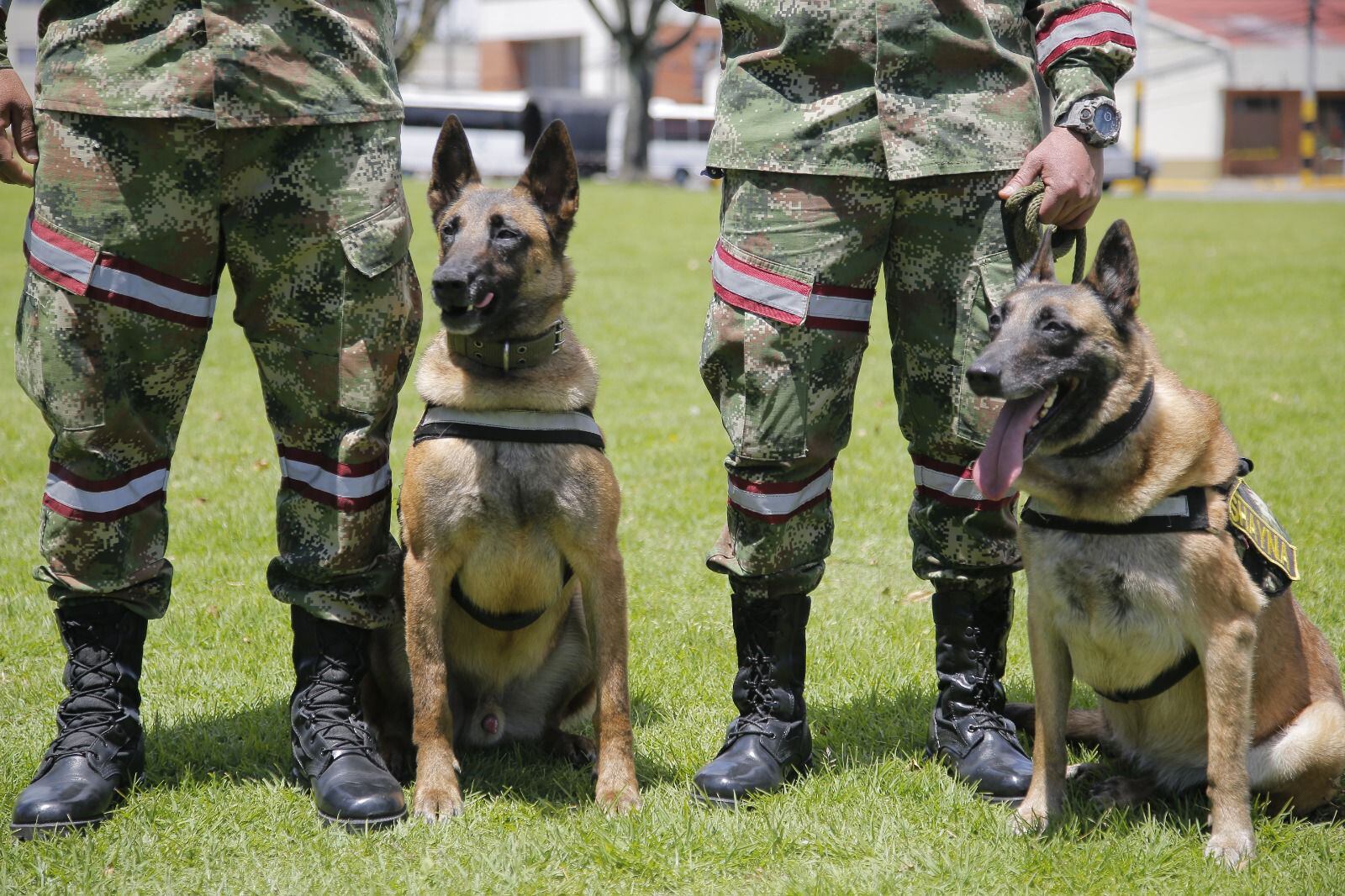 Equipo de rescate de víctimas. Foto: Ejército nacional