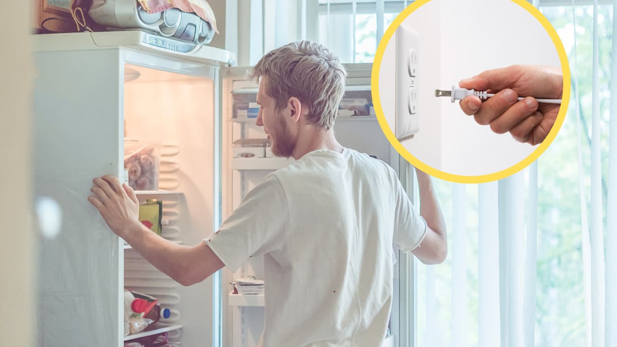 ¿Qué pasa si desconecta la nevera por muchas horas? Estos son los riesgos