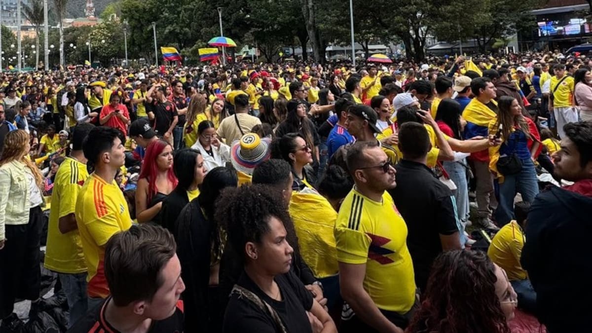 4 homicidios y miles de comparendos: el saldo en Bogotá tras final de la Copa América