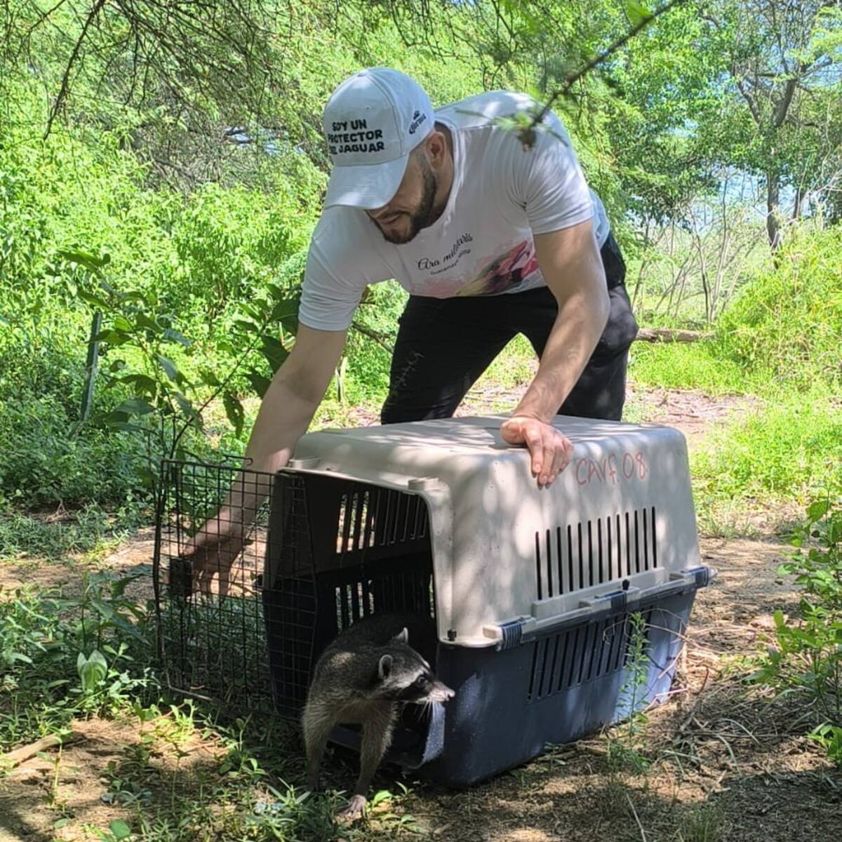 Liberados 23 animales silvestres en el Magdalena luego de ser atendidos y rehabilitados